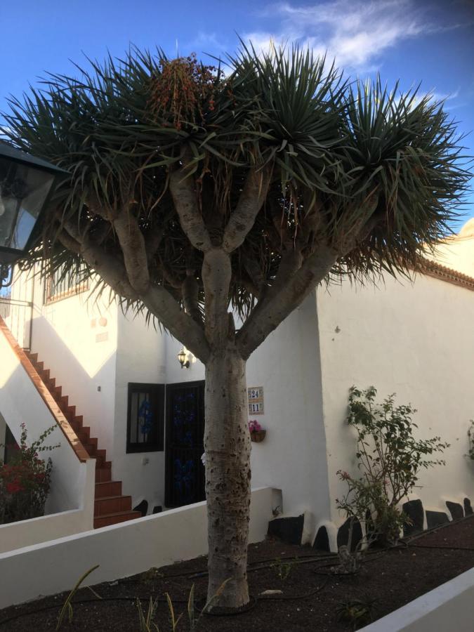 Tenerife Коста-дель-Силенцио Экстерьер фото
